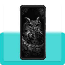 Ulefone Armor X31 Pro 8/256GB Black